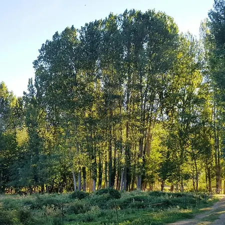 Salome, Mora De Luna, Al Lado Del Rio Luna *